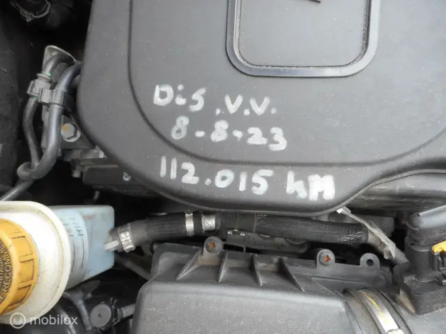 Fiat Doblò 1.6 MultiJet 16V 120 Trekking 2016 Diesel 20