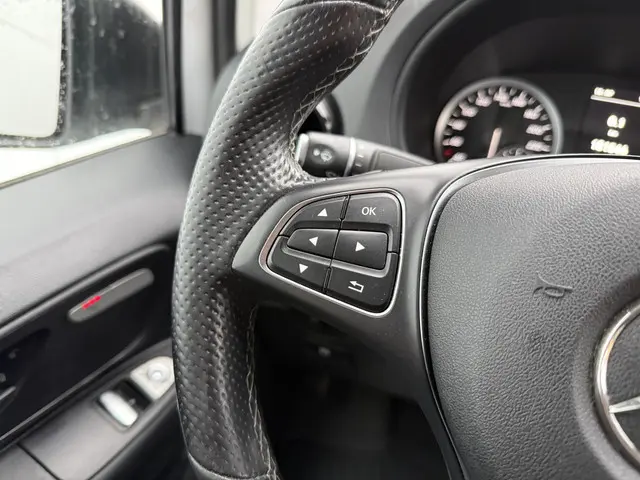 Mercedes-Benz Vito 116 2.1 CDI 2021 Diesel 22