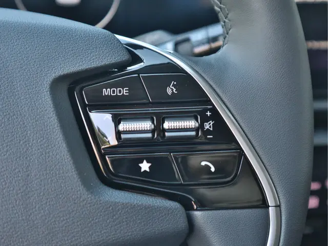 Kia Niro EV Edition Advanced 64.8 kWh 2024 Elektrisch 16