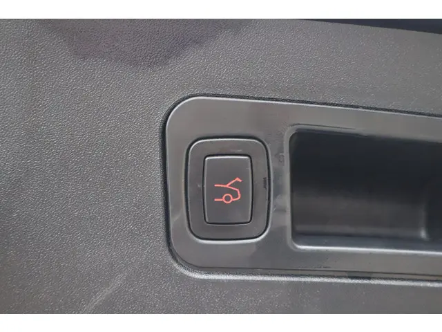 Tesla Model S Performance 2020 Elektrisch 19