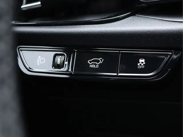 Kia Niro EV ExecutiveLine 64.8 kWh 2022 Elektrisch 38