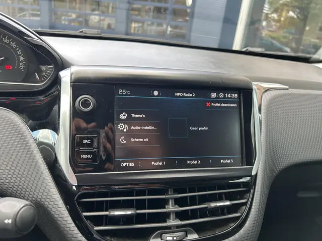 Peugeot 2008 1.2 Turbo 110PK Signature 2019 Benzine 14