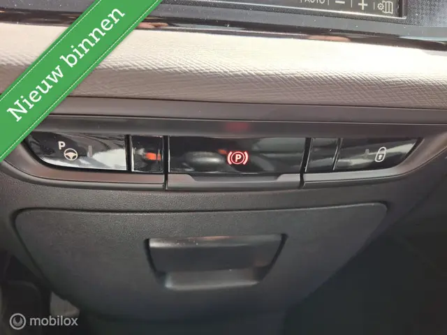 Citroën C4 Spacetourer 1.2 PureTech Feel 2019 Benzine 14