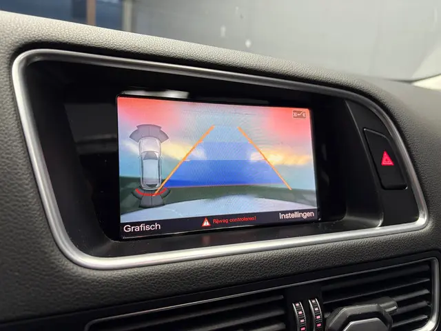 Audi SQ5 Plus 3.0 TDI quattro Pro Line 2017 Diesel 19