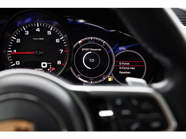 Porsche Cayenne 2.9 S 2018 Benzine 53