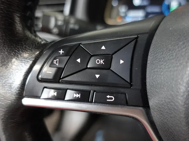 Nissan Leaf N-Connecta 40 kWh 2019 Elektrisch 18