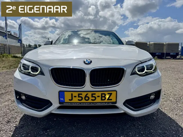 BMW 2 Serie Cabrio 220i Executive 2017 Benzine 3