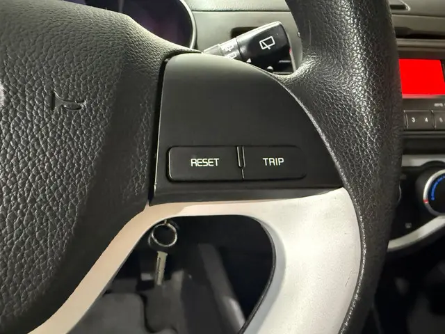 Kia Picanto 1.0 CVVT EconomyPlusLine 2016 Benzine 10