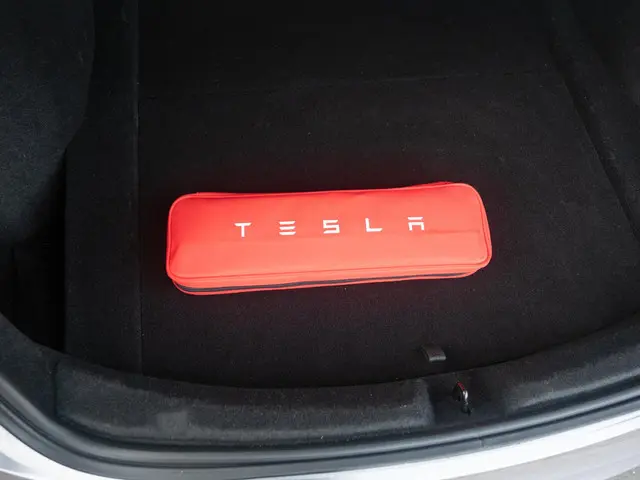 Tesla Model 3 RWD 60 kWh 2024 Elektrisch 43