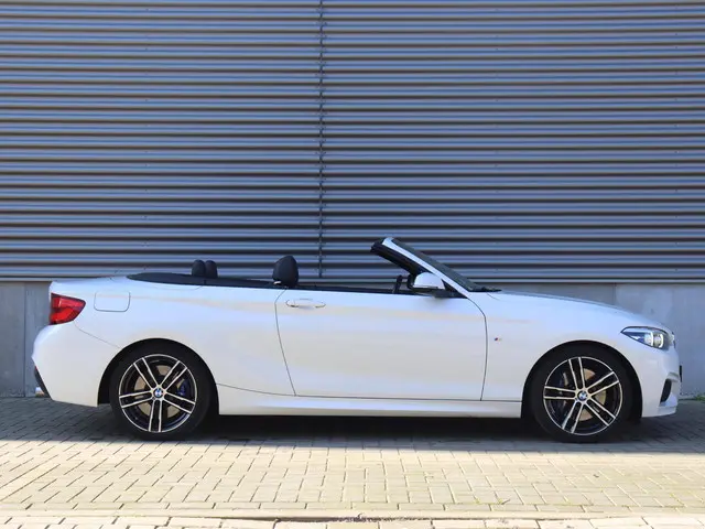 BMW 2 Serie Cabrio 220i 2019 Benzine 7