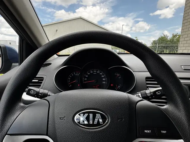 Kia Picanto 1.0 CVVT Summer Edition 2016 Benzine 11