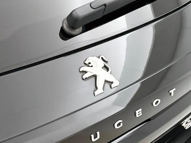 Peugeot 208 1.2 PureTech GT Aut. 2020 Benzine 22