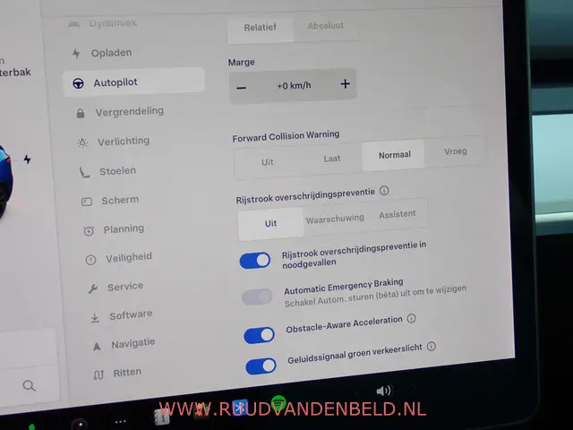 Tesla Model Y Long Range AWD 75kWh 2021 Elektrisch 14