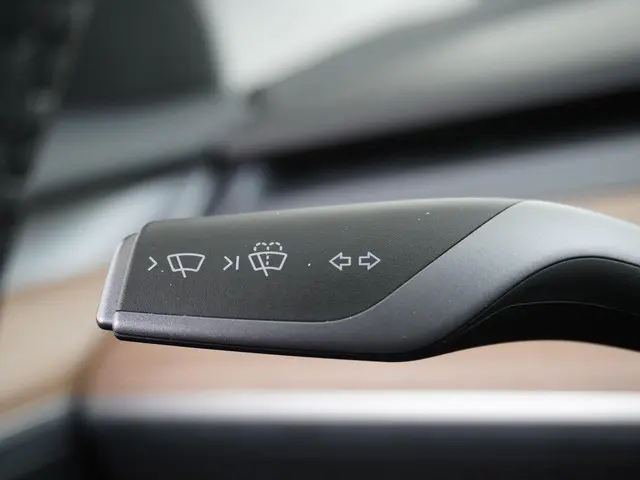 Tesla Model 3 Long Range RWD 75 kWh 2023 Elektrisch 26