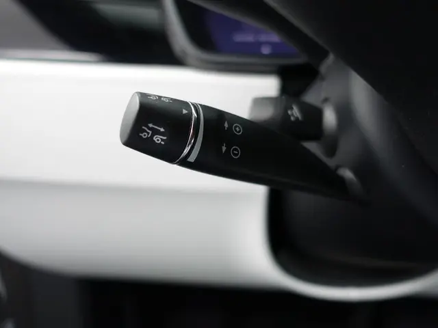 Tesla Model X Long Range Black Pack- 2019 Elektrisch 19
