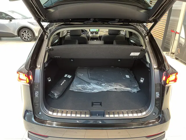 Lexus NX 300h AWD President Line 2020 Hybride Benzine 25