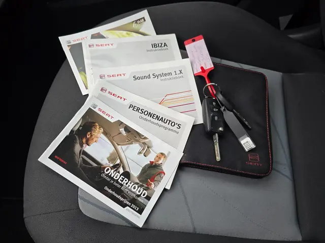 SEAT Ibiza Seat Ibiza 1.2 TSI Enjoy Airco 2013 Benzine 8