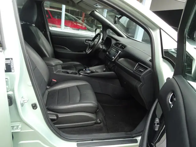 Nissan Leaf 2.ZERO EDITION 40 kWh 2018 Elektrisch 7