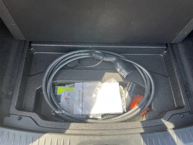 Jaguar I-PACE EV320 SE 90 kWh 2020 Elektrisch 10