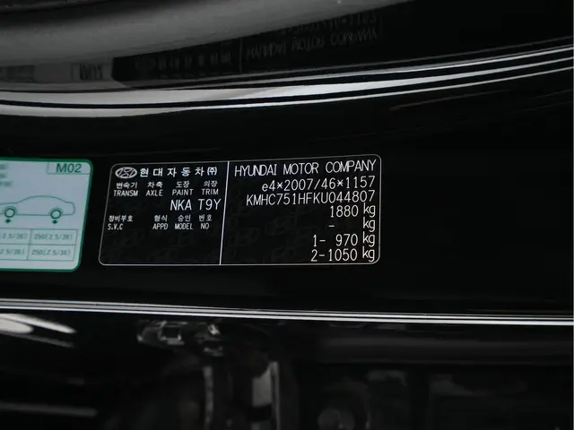 Hyundai IONIQ Comfort EV 2019 Elektrisch 30