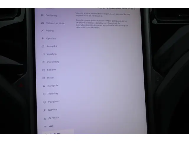 Tesla Model S Performance 2020 Elektrisch 43