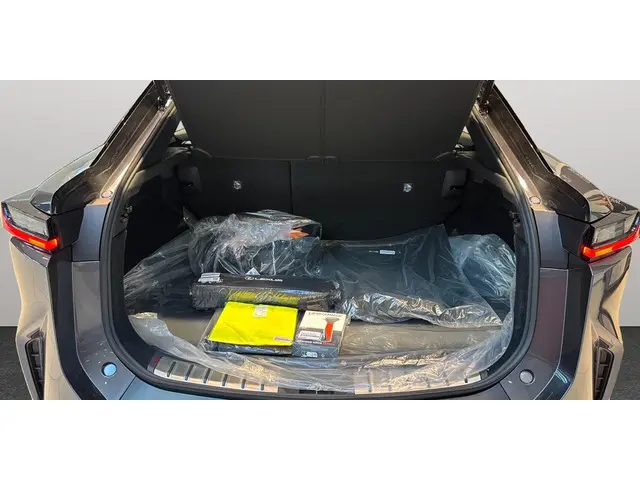 Lexus RZ 300e Business Line 71 kWh 2025 Elektrisch 23