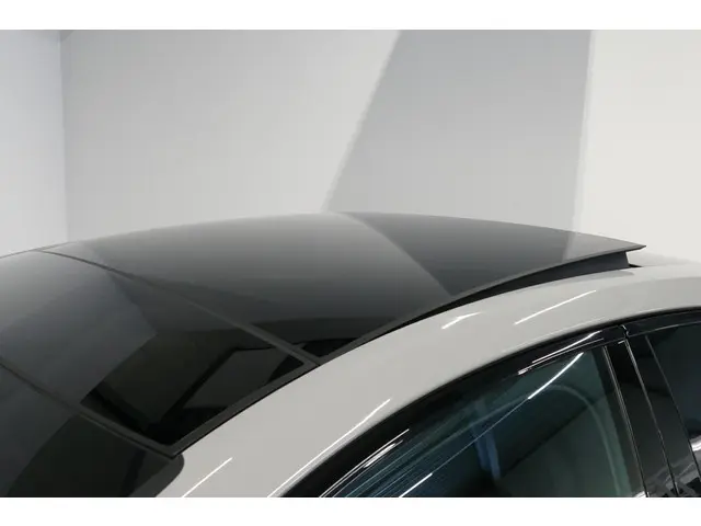 Porsche Panamera 2.9 4 E-Hybrid 2020 Hybride Benzine 16