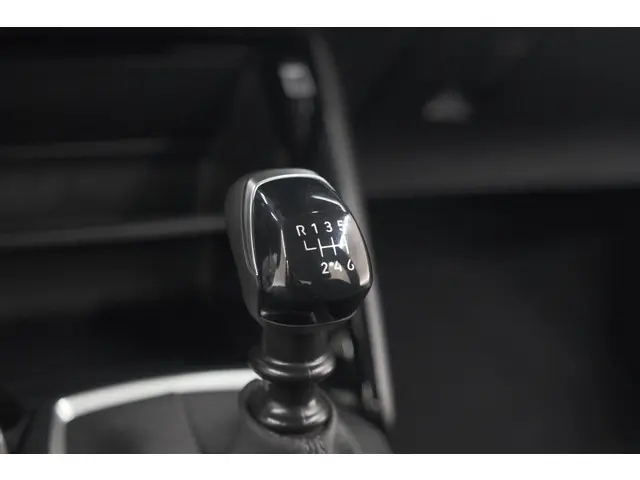 Peugeot 208 PureTech 100 Active 2024 Benzine 40