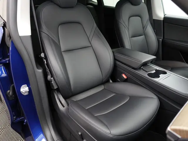 Tesla Model Y Long Range AWD 75 kWh- 2021 Elektrisch 15