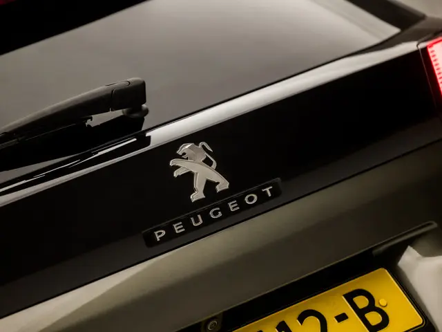 Peugeot 3008 1.2 PureTech GT Line 2016 Benzine 28