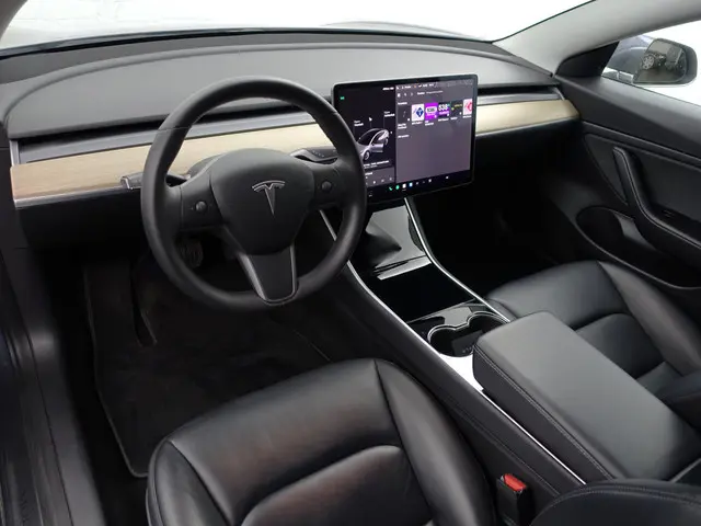 Tesla Model 3 Long Range AWD 75 kWh- 2019 Elektrisch 2