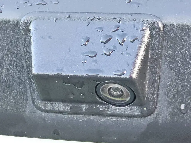 Ford Transit Custom 2.0 2020 Diesel 18