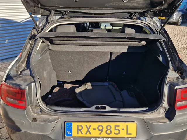 Citroën C4 Cactus 1.2 PureTech Shine 2018 Benzine 9