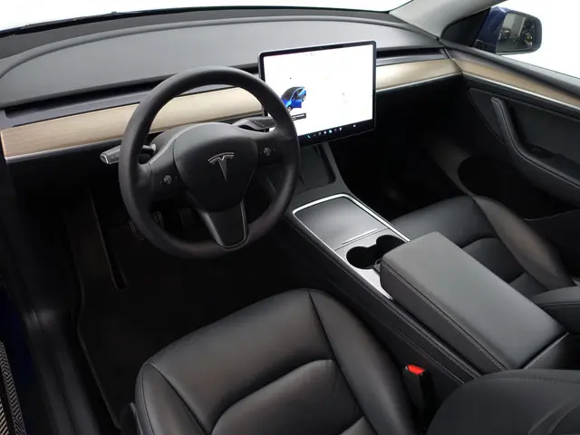 Tesla Model Y Long Range AWD 75 kWh- 2021 Elektrisch 2