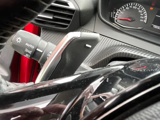 Peugeot 208 1.2 Turbo Active 2020 Benzine 29