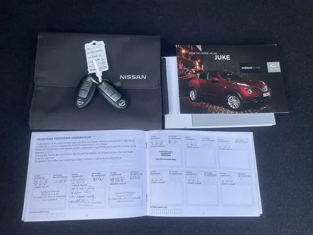 Nissan Juke 1.2 DIG-T S/S Tekna 2015 Benzine 31