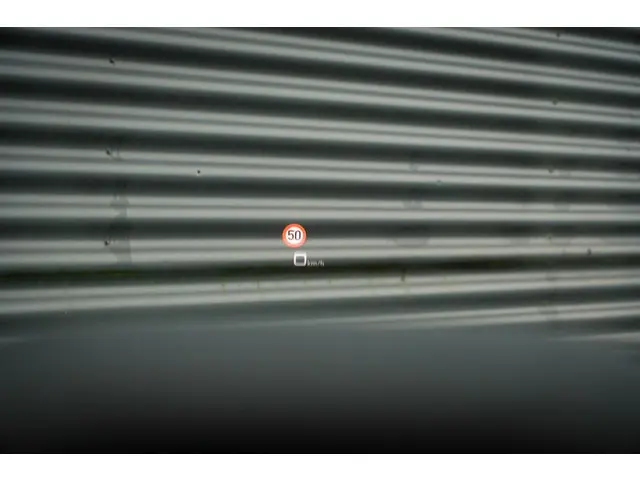 Audi Q8 4.0 TFSI RS Q8 quattro 2020 Benzine 40