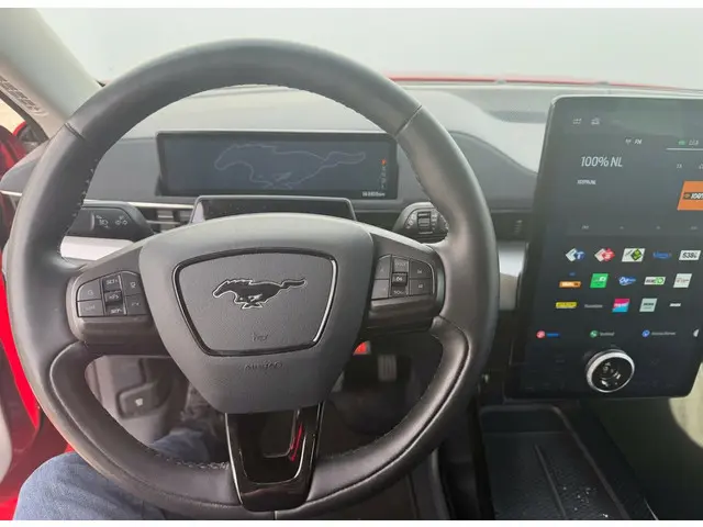 Ford Mustang Mach-E RWD 75 kWh | SOH 92% 2021 Elektrisch 9