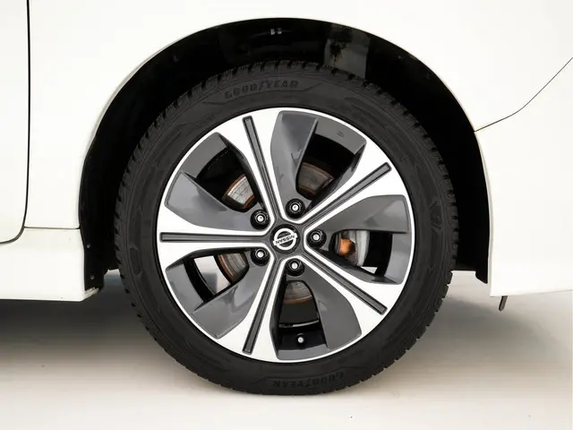 Nissan Leaf Tekna 40 kWh 2019 Elektrisch 29