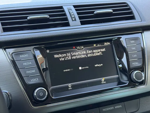 Škoda Fabia Combi 1.0 TSI Business Edition 2020 Benzine 17