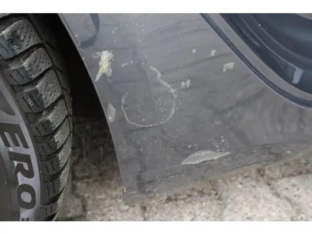 Tesla Model 3 Long Range AWD 75 kWh 2019 Elektrisch 16