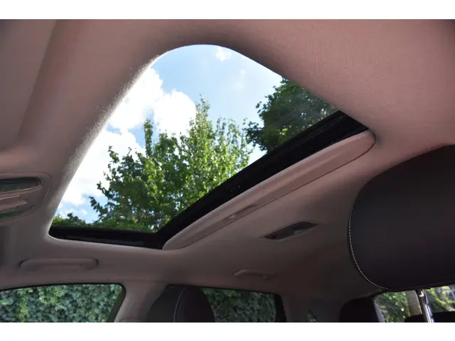 Kia e-Niro DynamicPlusLine 64 kWh 2021 Elektrisch 16