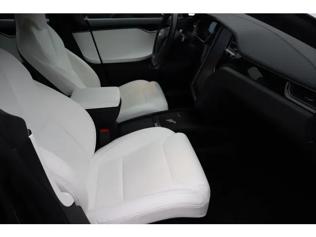 Tesla Model S Performance 2020 Elektrisch 11