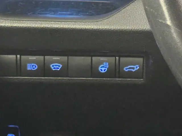 Toyota RAV4 2.5 Hybrid Bi-Tone 2019 Hybride Benzine 39