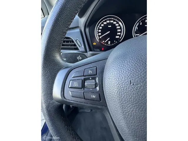 BMW 2 Serie Active Tourer 216i Executive 2019 Benzine 20