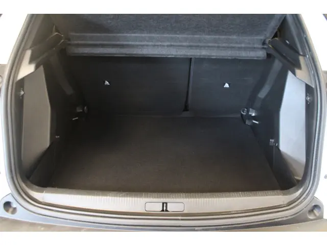 Peugeot 2008 1.2 PureTech Active Pack 2021 Benzine 21