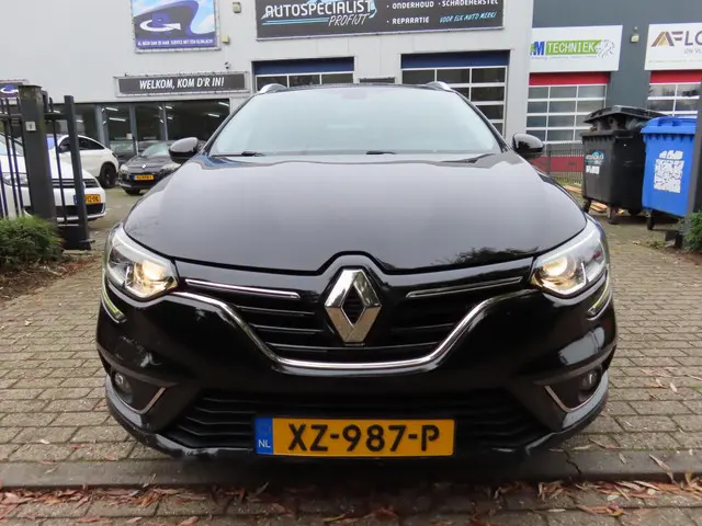 Renault Mégane 1.3 TCe Limited AUTOMAAT 2019 Benzine 10