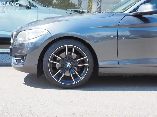 BMW 2 Serie Coupé 220i High Executive 2014 Benzine 17