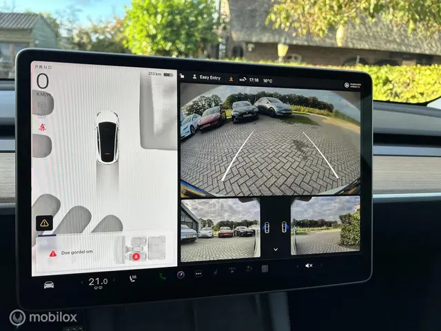 Tesla Model Y Performance AWD 75 kWh 2022 Elektrisch 13