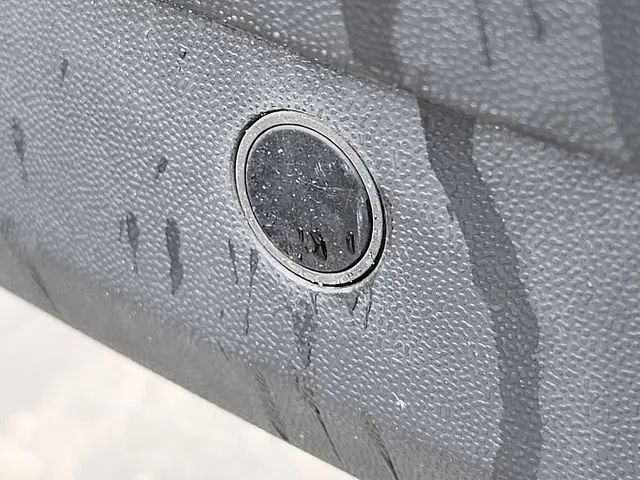 MAN TGE E-TGE 2020 Elektrisch 17